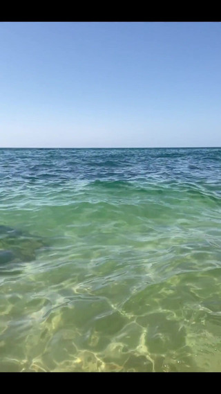 You Will Love the Video