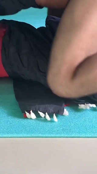 Rofiqul Sex Video with Parnita