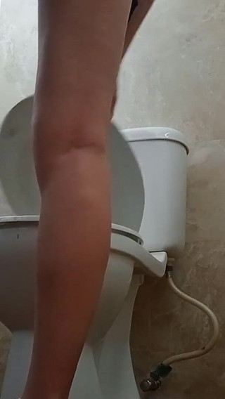 Various Toilet Scenes, Including Public Toilets